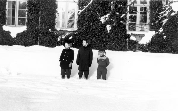 1954-19