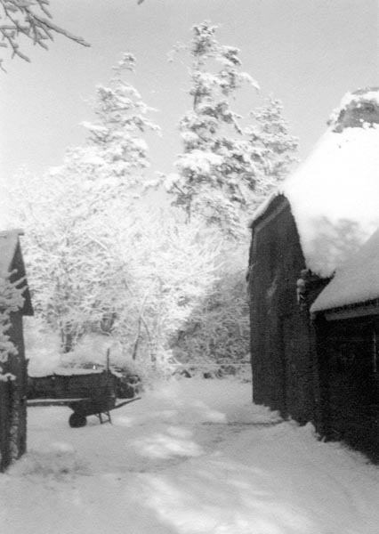 1954-21