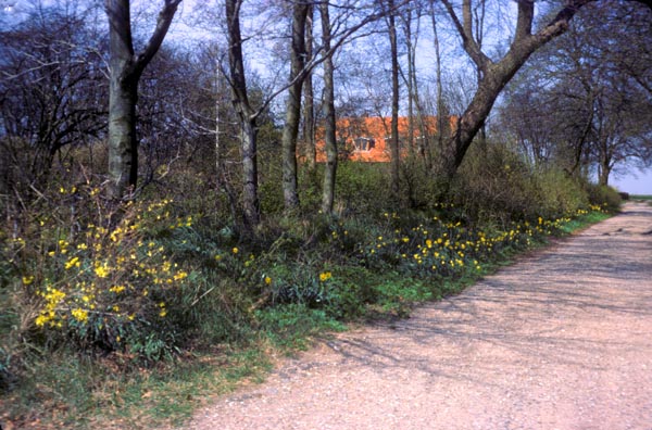 1977-58
