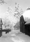 1954-21