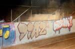 dias-232