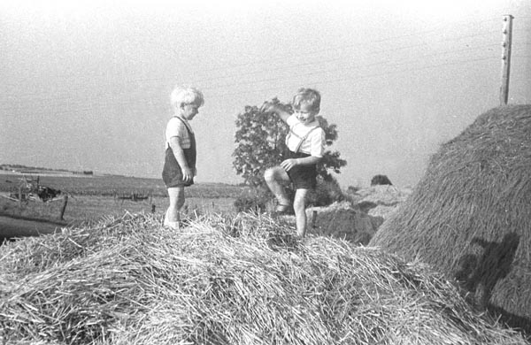 1951-03