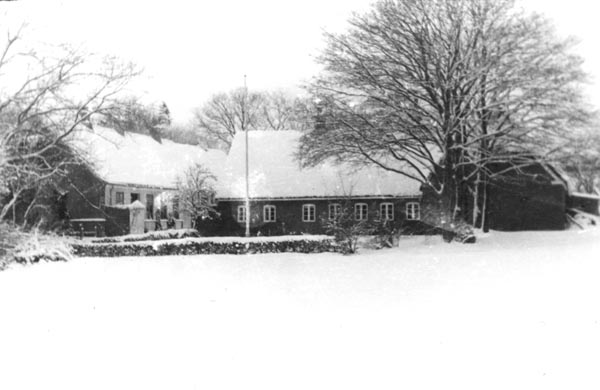 1951-17