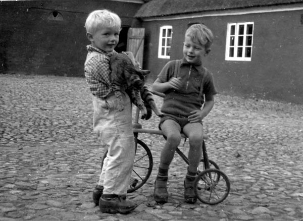 1954-03