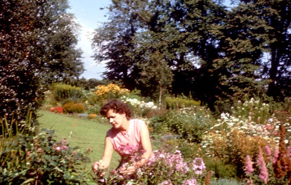 1960-17
