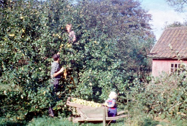 1962-40