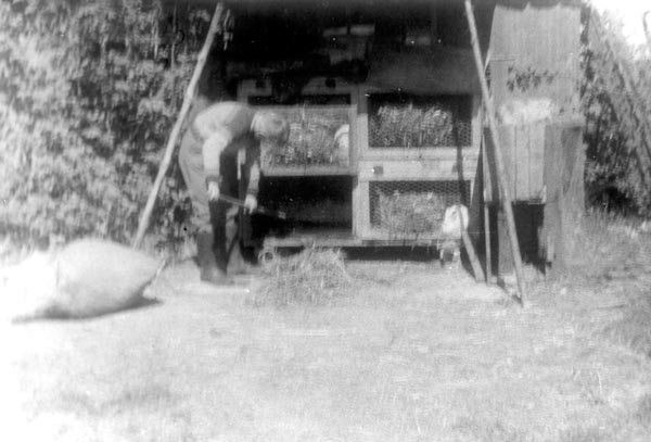 1962-47
