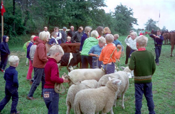 1970-28