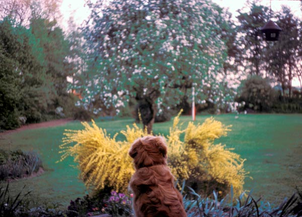 1977-39