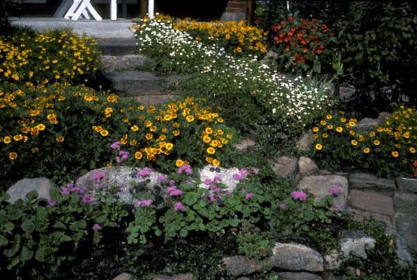 1977-46