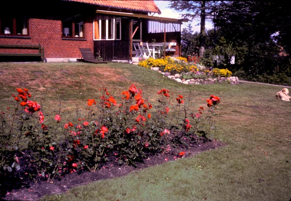 1977-55