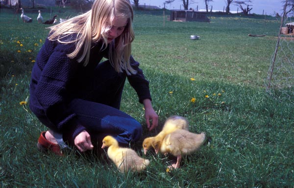 1978-06