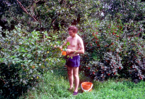 1982-05