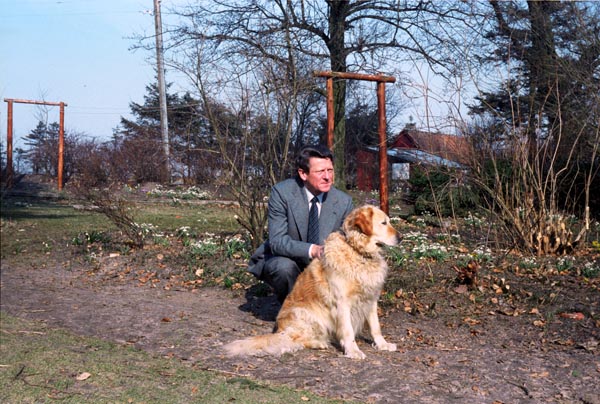 1982-13