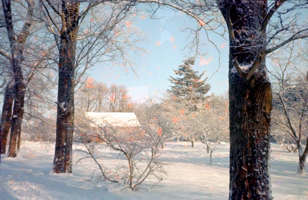 1985-58