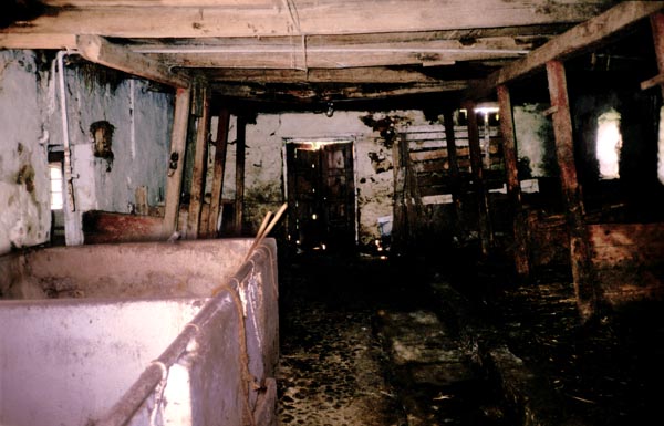 1987-20