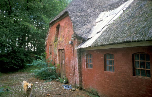 1987-21