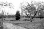 1950-27