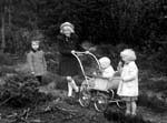 1951-23