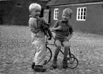 1954-03