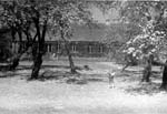 1954-06