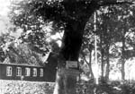 1956-19