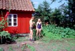 1982-04